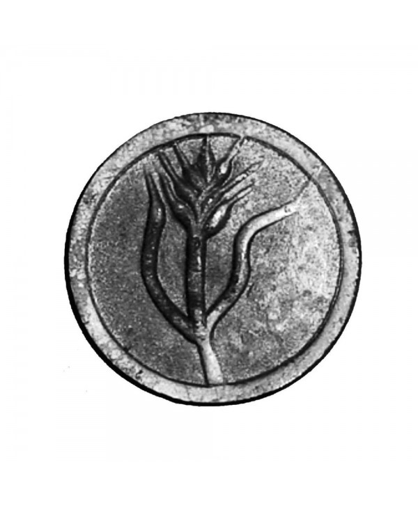 32-RF Roseta forjada con dibujo de espiga