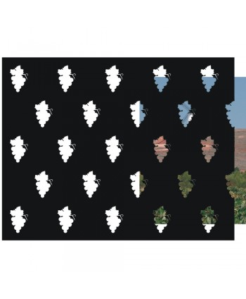 15-CHP Chapa decorativa con racimos de uvas para verjas