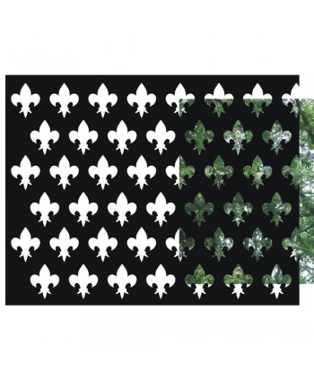 16-CHP Chapa decorativa con dibujo de flor de lis