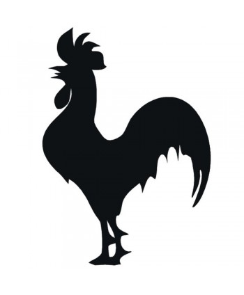 37-CHP Silueta de gallo de chapa