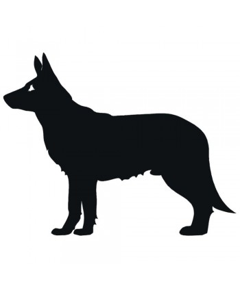 48-CHP Dibujo en chapa de perro