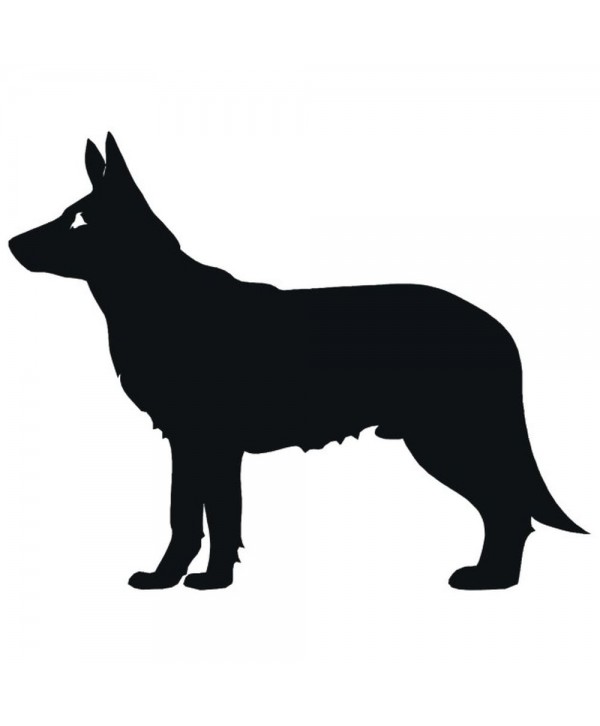 48-CHP Dibujo en chapa de perro