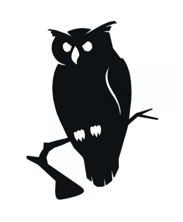 61-CHP Búho de chapa de hierro