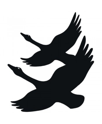 67-CHP Chapa de aves volando