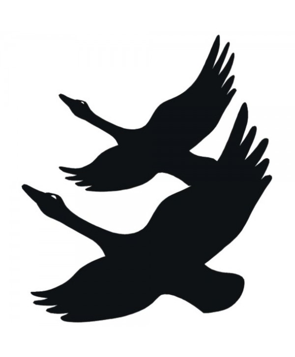 67-CHP Chapa de aves volando