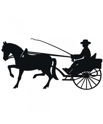 93-CHP Chapa decorativa de carruaje