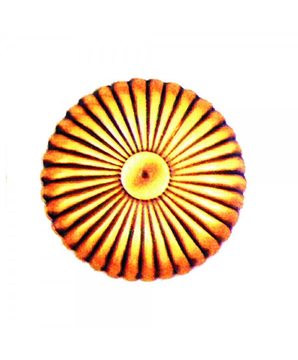 5-RCL Roseta chapa latón circular