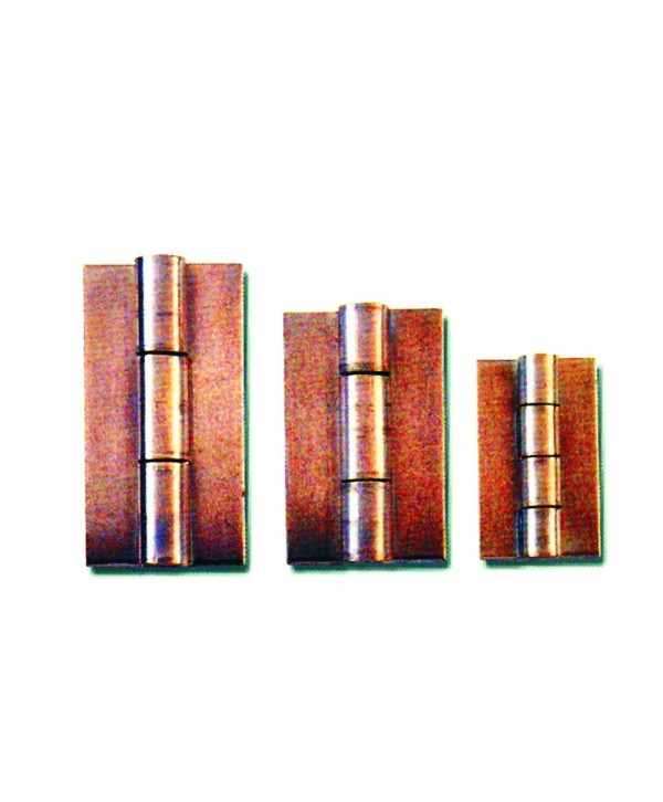 4-PBH Bisagra sin pintar para puertas y portones