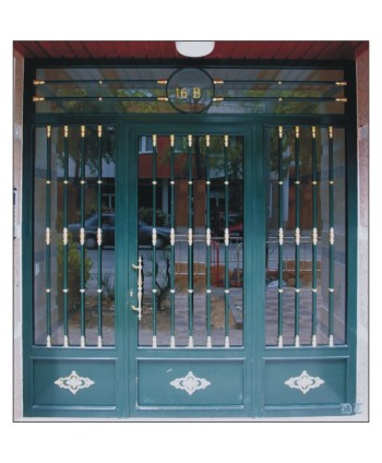 1002 Puerta de hierro con rosetas y tirador de laton