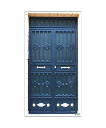 1006 Puerta de hierro con doble tirador de latón