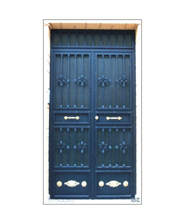 1006 Puerta de hierro con doble tirador de latón