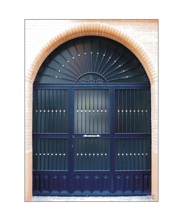 1010 Puerta con arco de cuarterones y barrotes