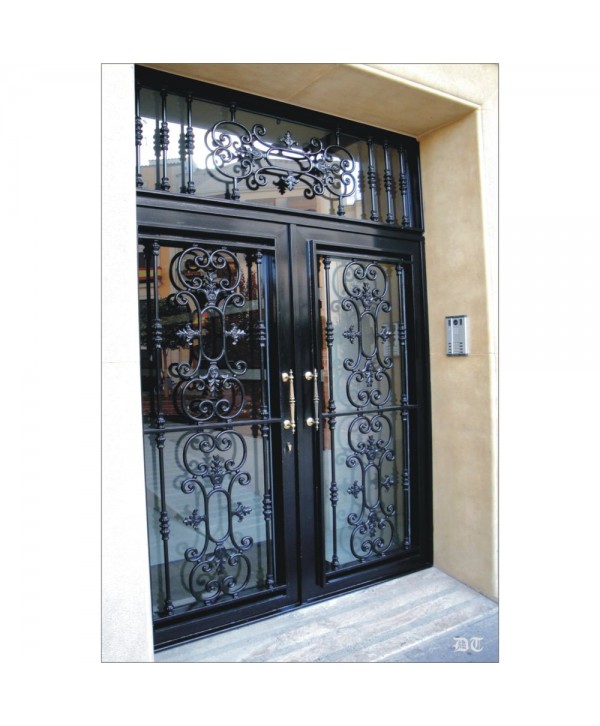 1019 Puerta con adornos elegantes de hierro fundido