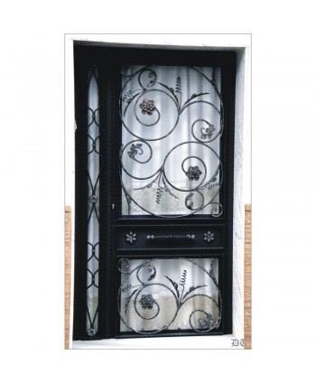 1039 Puerta elegante con rizos florales de hierro