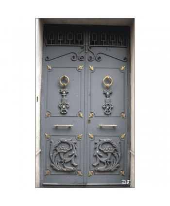 1051 Puerta de chapa con adornos robustos de fundido