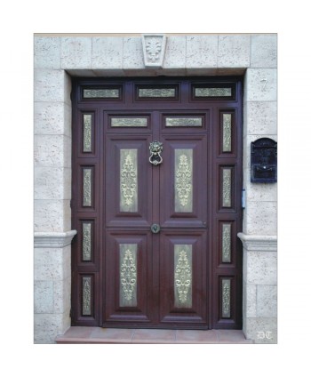 1061 Puerta de chapa con llamador de león laton