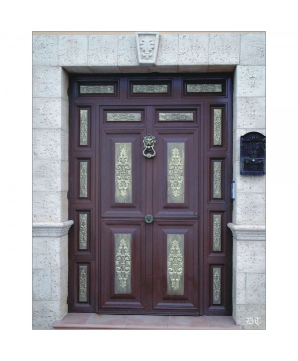 1061 Puerta de chapa con llamador de león laton