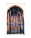 1581 Cancela para puerta con diseño central grande y rizos en forja