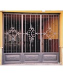 1607 Cancela con cuarterones de chapa con dibujo y adornos