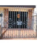1613 Cancela con macollas y adornos de forja para exterior