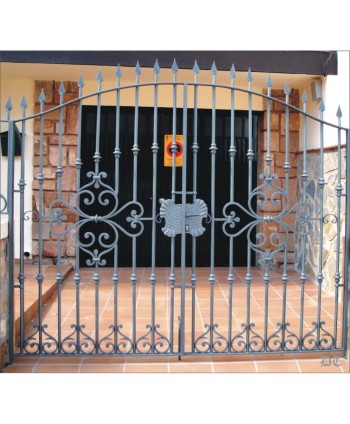 1613 Cancela con macollas y adornos de forja para exterior