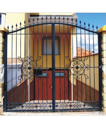 1618-1 Cancela con adorno de 4 puntas de hierro