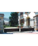 1620 Cancela grande doble con rizos especiales forjados