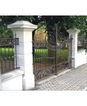 1621 Cancela con adornos grandes de forja