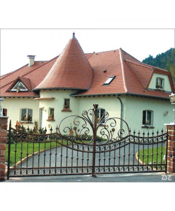 1627 Cancela con adorno especial central de forja