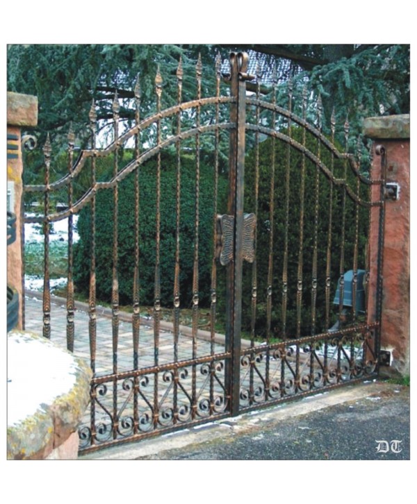 1628 Cancela con pletina machacada y rizos