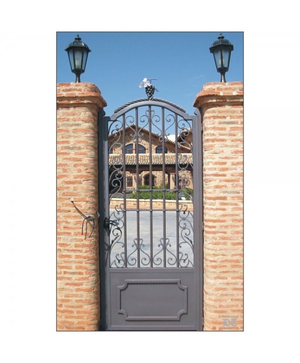 1644 Cancela con racimos de uva superior y rizos especiales