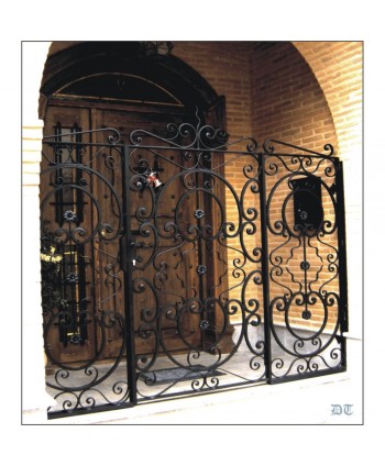 1646 Cancela con rizos especiales forjados