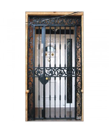 1704 Cancela con soleras de hierro con rizos y hojas