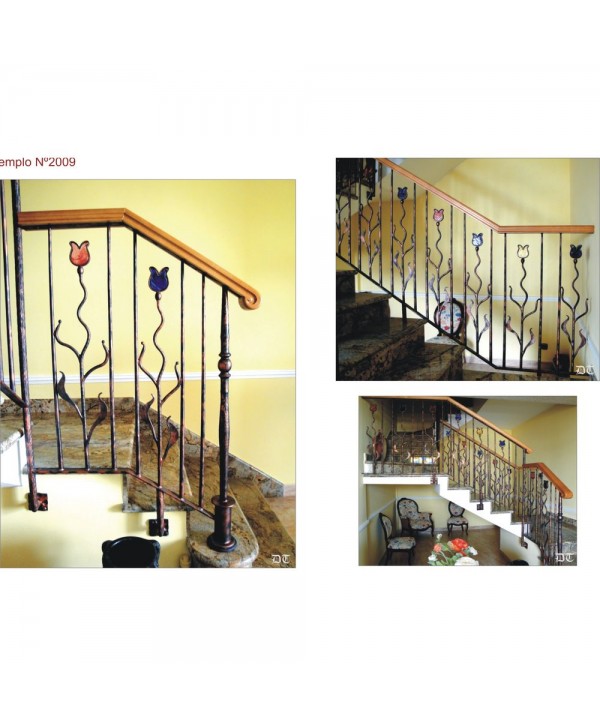 2009 Baranda con barrotes de flor de colores