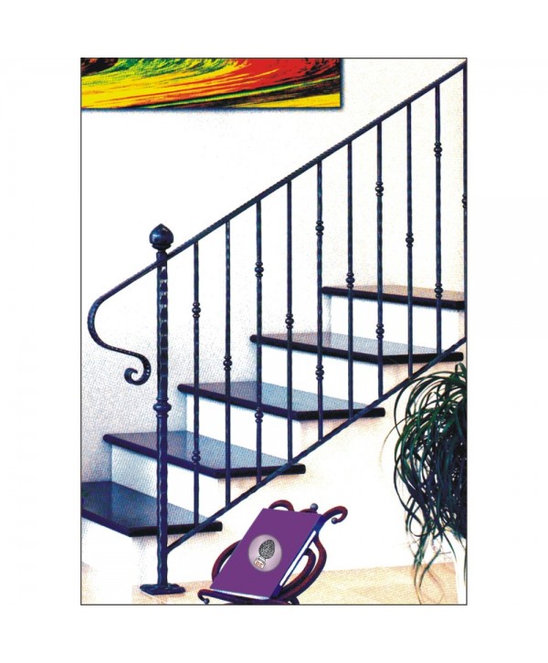 2021 Barandilla con arranque y barrotes a juego de forja