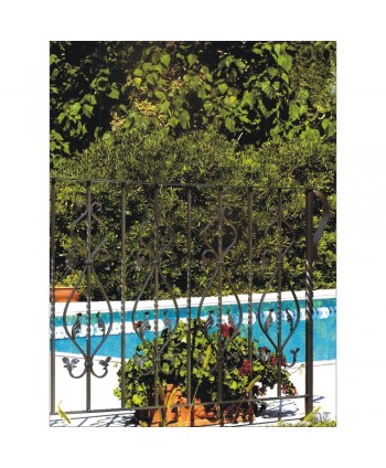 2044 Barandilla para jardín con adornos de hojas de forja artesana