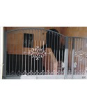 5008 Verja de hierro artístico para calle