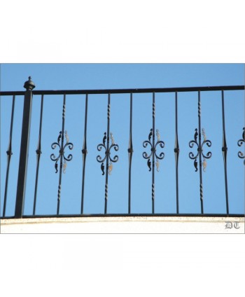 5028 Verja con adornos terminados en hoja hierro